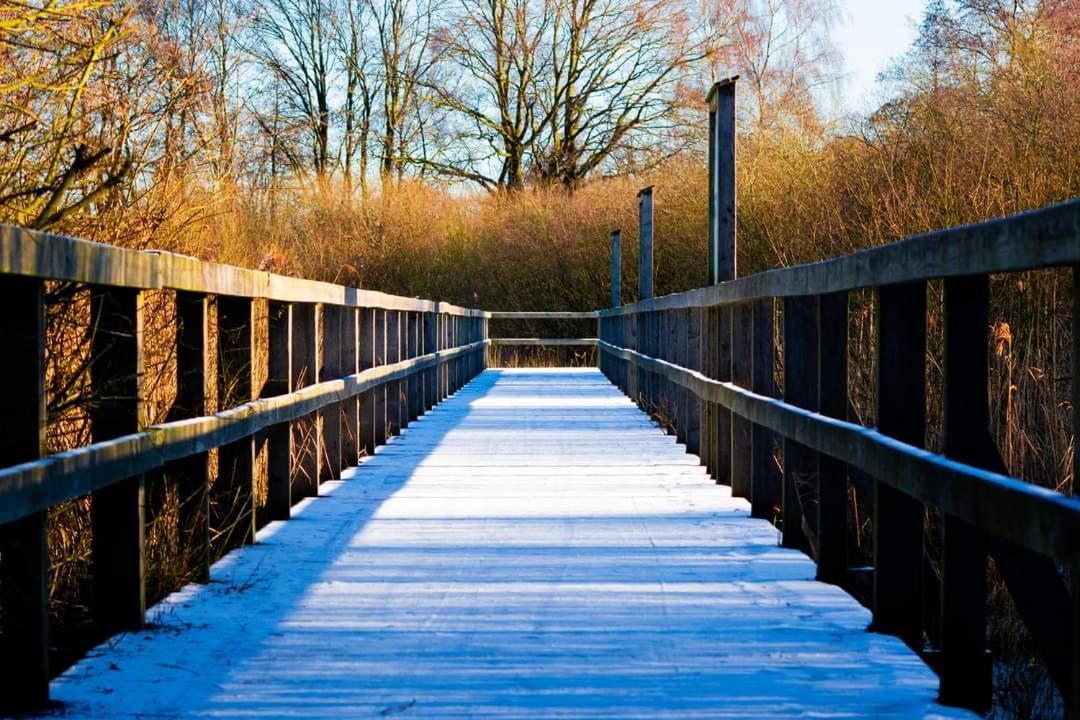 Seeliebe, 300 Meter Zum Wasser, Mit Terrasse Und Garten Lembruch Exterior photo